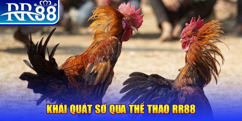 868vip baccarat bịp như thế nào