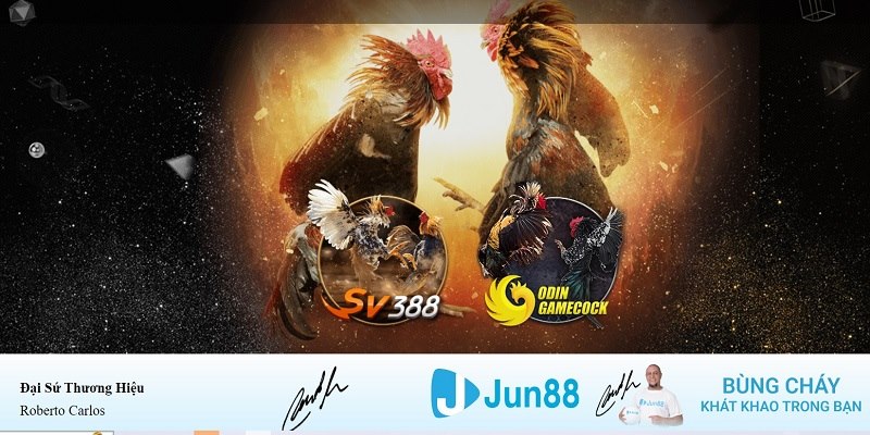 868vip xổ số miền nam hàng tuần