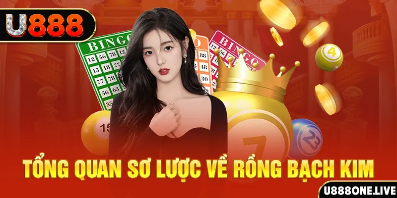 868vip how to win at slot machines