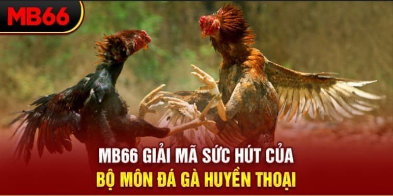 868vip long bảo trong baccarat là gì