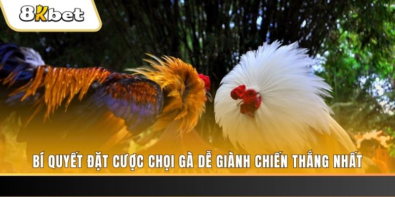 868vip may club nổ hũ